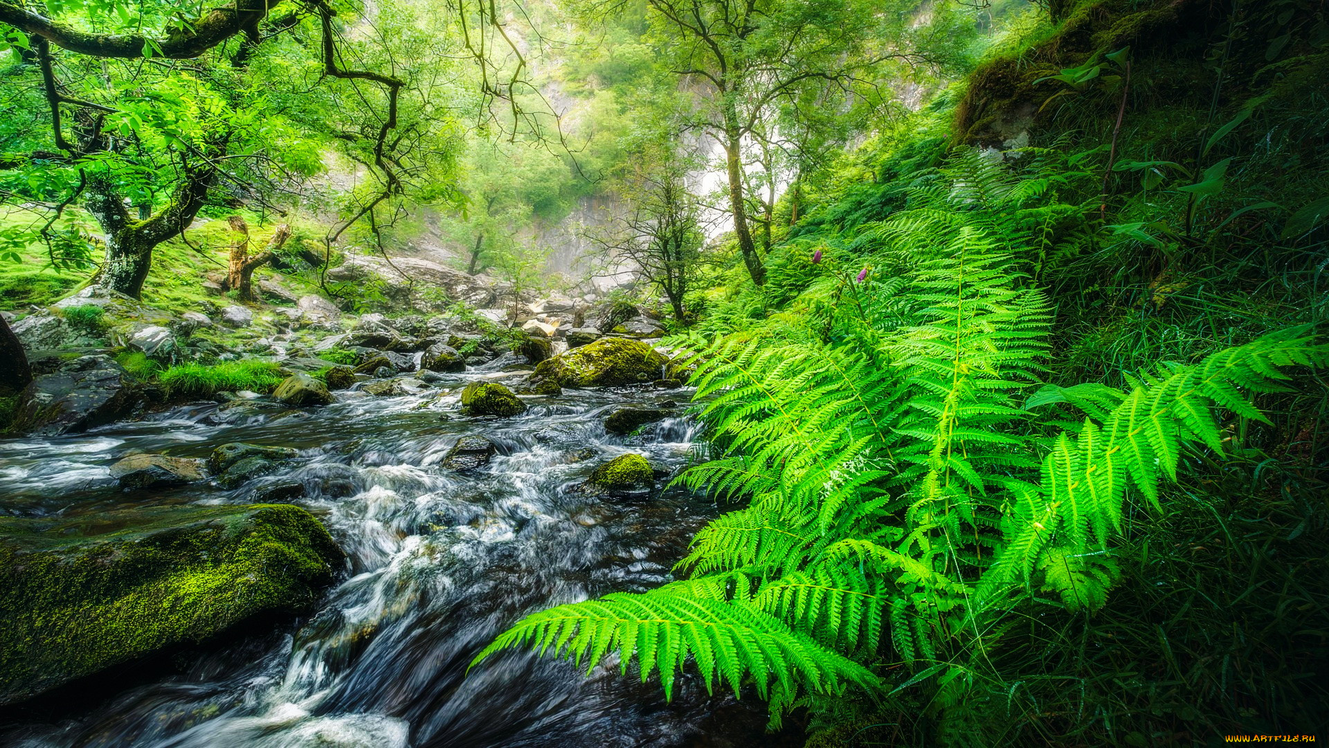 aber falls, wales, , , aber, falls